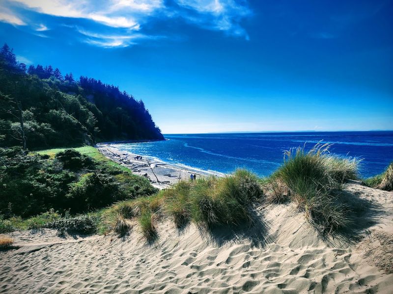 Beaches And Driftwood Views That Make The Park Feel Huge