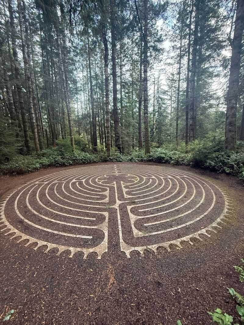 The Mysterious Labyrinth Hidden on the Property