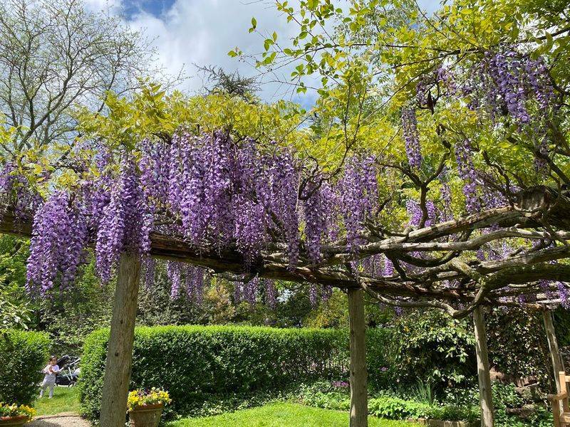 Perfect Picnic Spots Hidden Across the Grounds