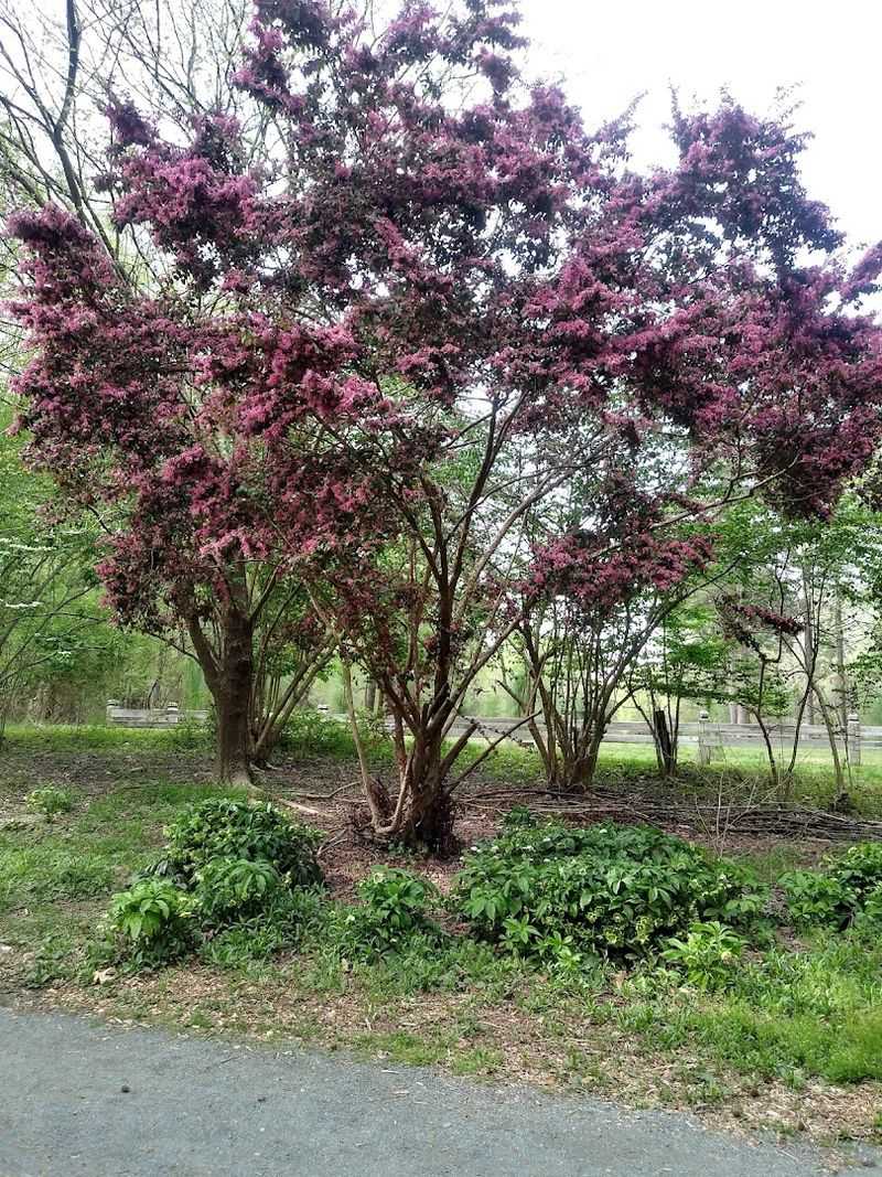 Spring on the Trail: A Season Made for This Walk