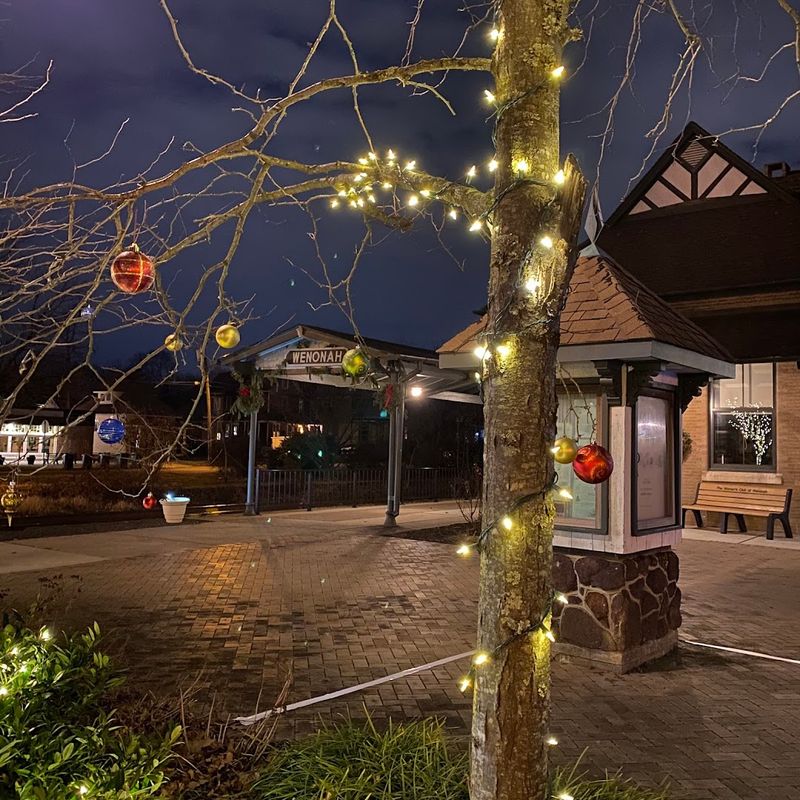 Tree-Lined Streets That Change Everything