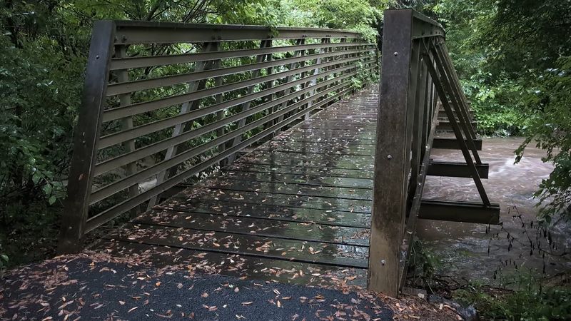 The Footbridge Itself, Small Structure, Massive Story