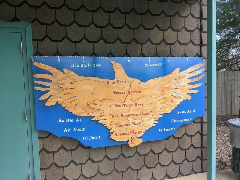 The Nature Center Adds Real Educational Depth to Your Visit