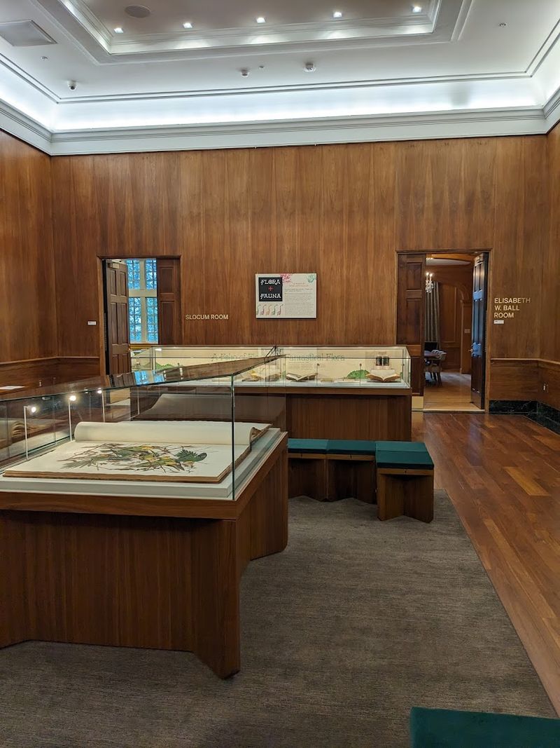 Expert Curatorial Guidance From a Dedicated Puzzle Curator