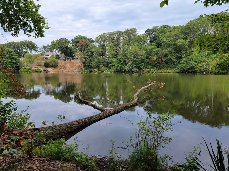 Dog-Friendly Trails That Welcome Four-Legged Explorers