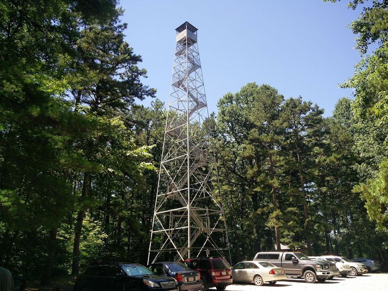 The Fire Tower Viewpoint That Puts the Whole Forest in Perspective