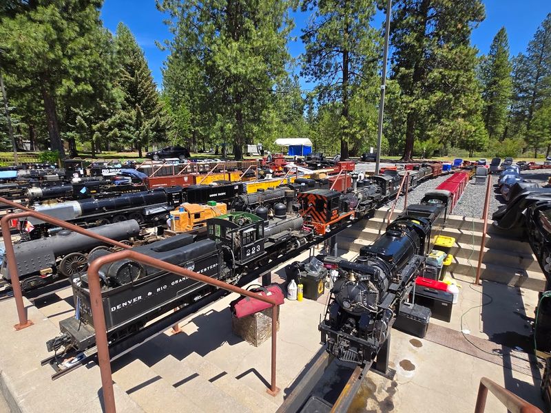 The Triennial Event That Draws Enthusiasts Worldwide