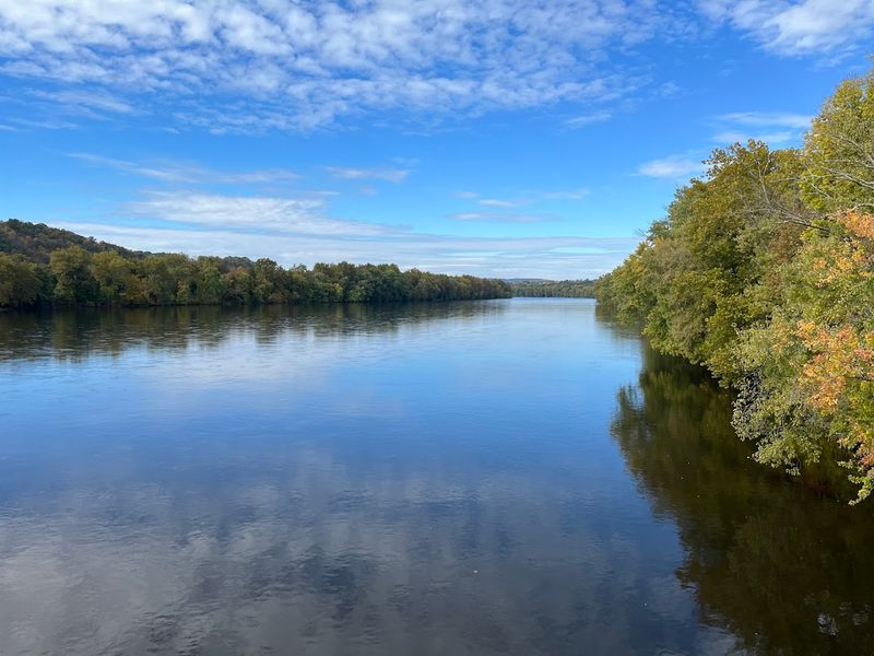 River Views That Actually Stop You Mid-Bite