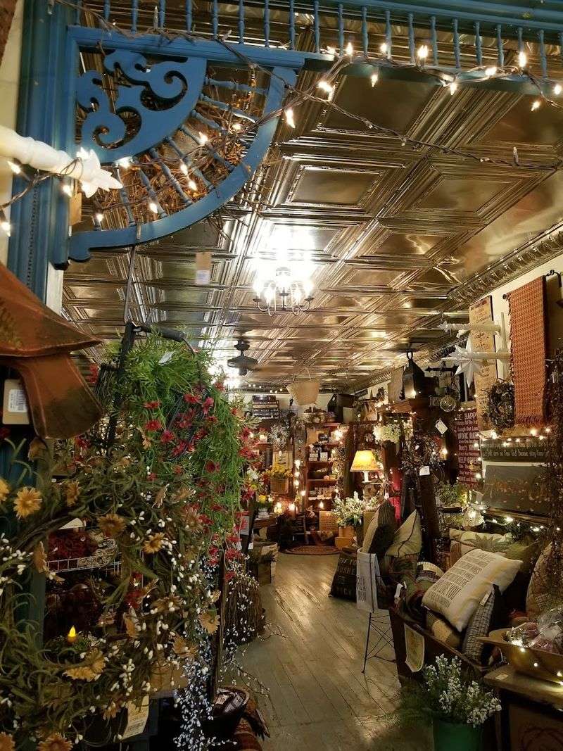 A Dedicated Plant House That Brings the Outdoors Inside