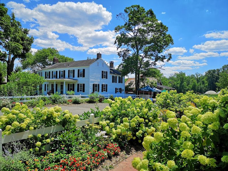 Seasonal Pick-Your-Own Fruits Beyond Just Apples