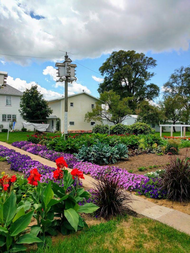 The Cozy Small-Town Setting That Adds To The Experience