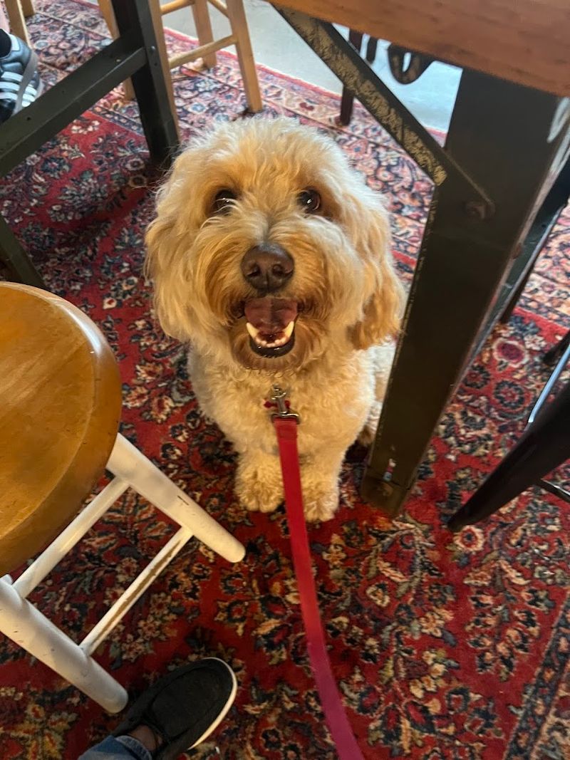 Live Music Events That Give the Space Extra Life