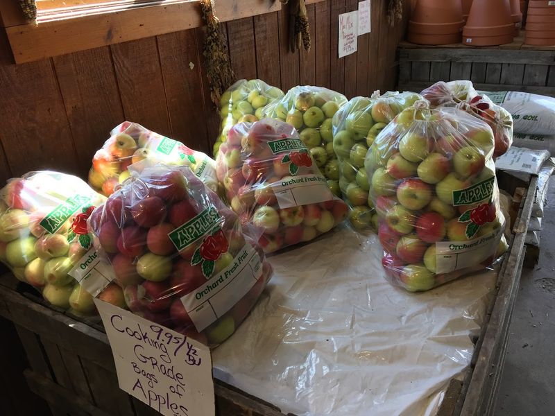 A Newfane Stop Worth More Than A Quick Visit