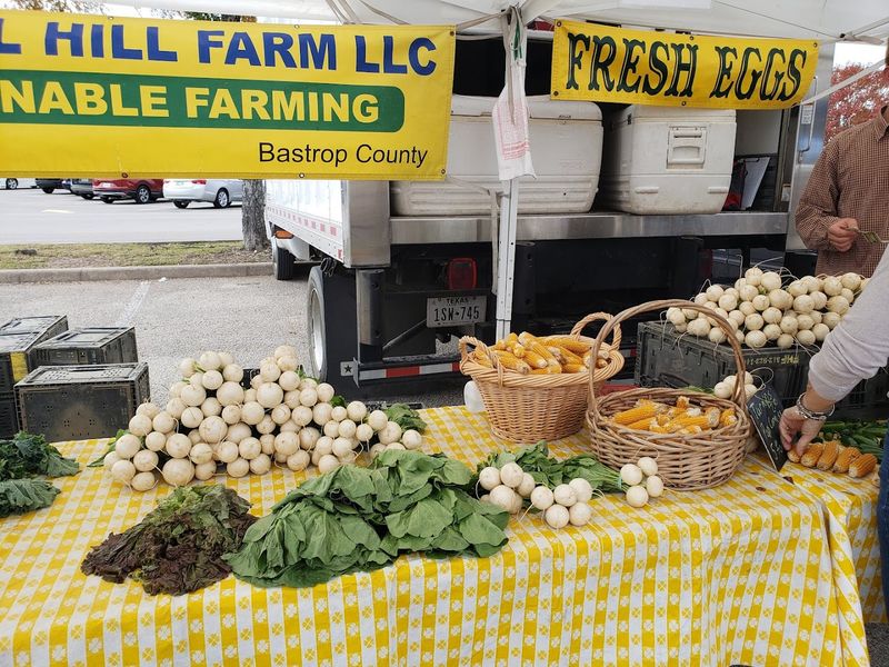 Grass-Fed Meats and Pasture-Raised Eggs Worth Seeking Out