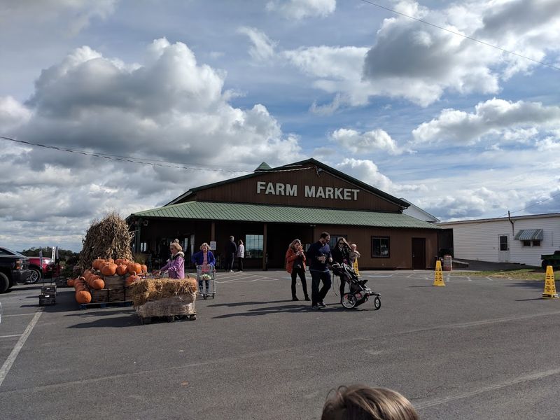 Plan Your Visit to Cedar Creek Grade