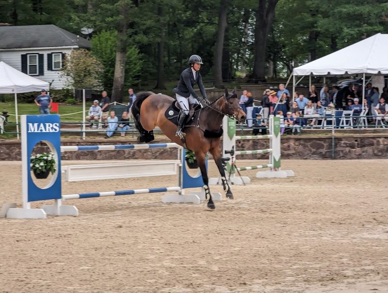 Horses, Heritage, and Hamilton Farm