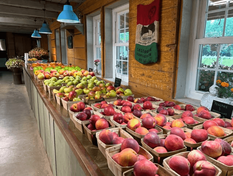 Incredible Fruit That Speaks for Itself