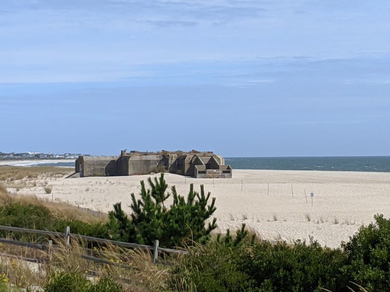 Coastal Dunes That Rewrite the Meaning of Peaceful