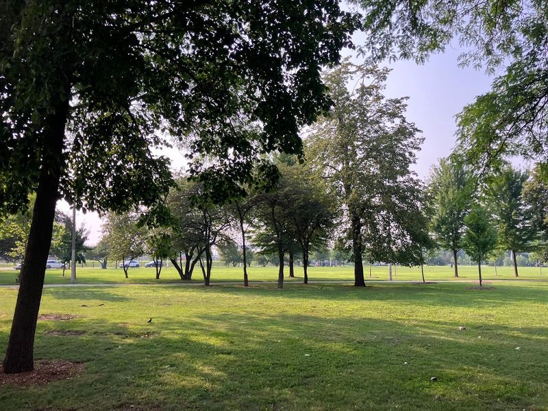 What Richard Clark Park Actually Is Today