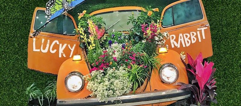 Photo Ready Sets That Keep Phones Out