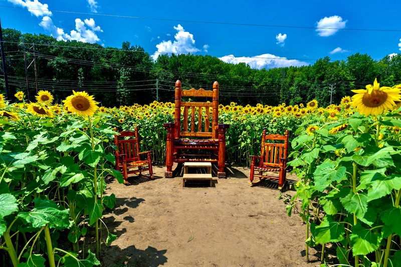 Planning Your Visit: Timing, Tips, and Making the Most of the Day