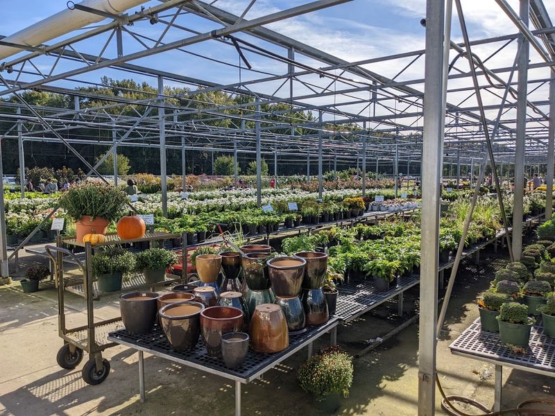 Why Gasko's Loyal Customers Keep Making the Drive