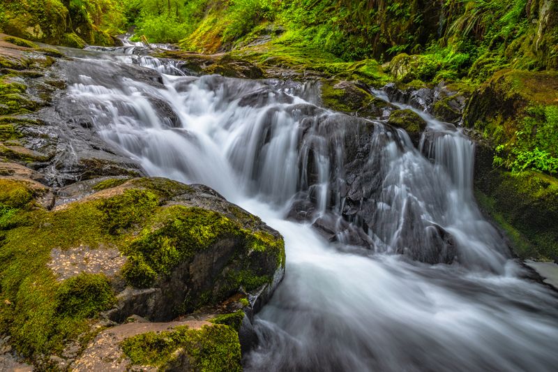 Sweet Creek Falls, Siuslaw National Forest, Oregon