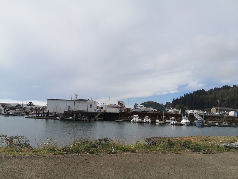 Laid-Back Waterfront Dining and Fresh Seafood