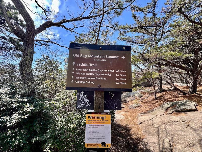 Parking, Trailheads, and Getting There Without the Chaos