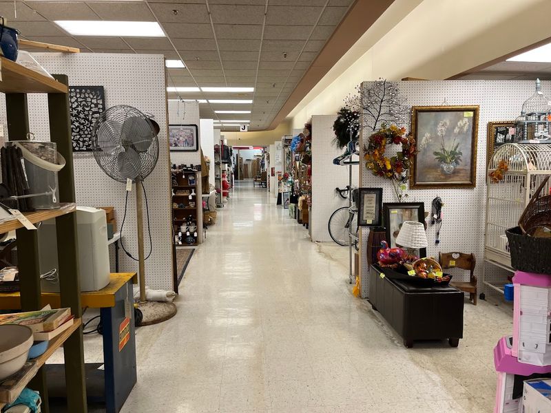 Something for Every Kind of Shopper