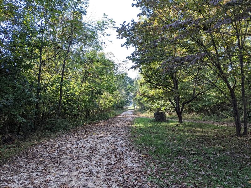 Practical Tips for Getting the Most Out of Your Visit