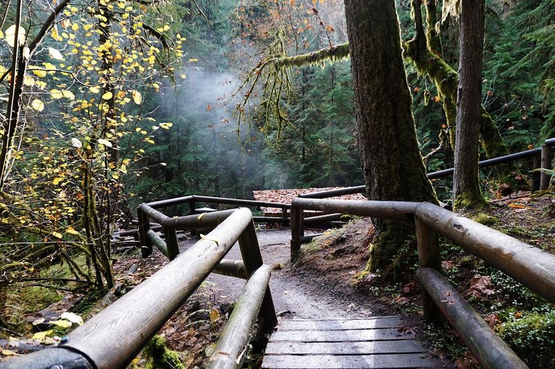 What To Know Before You Go