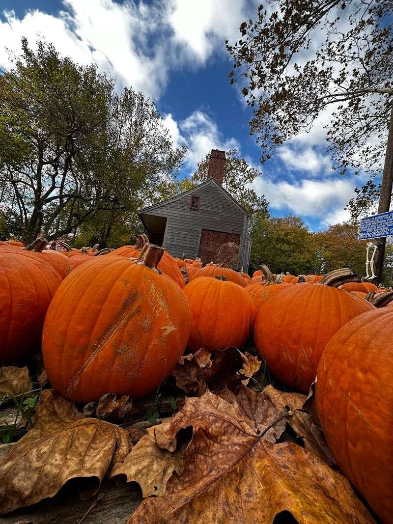 Elizabeth 'Aunt Betty' Frazee, The Woman Who Stood Her Ground