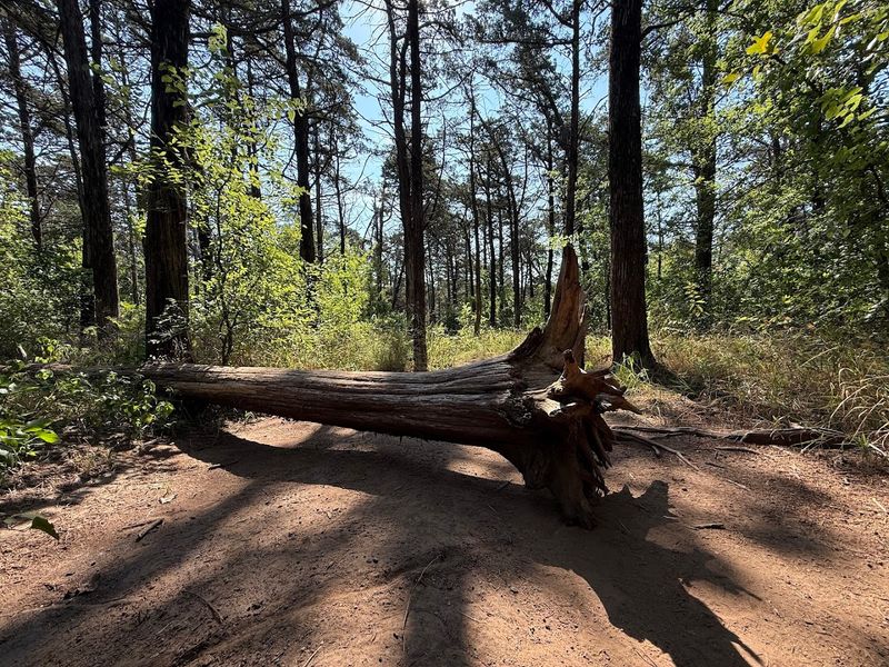 Photographers Find Their Favorite Spot Here Fast