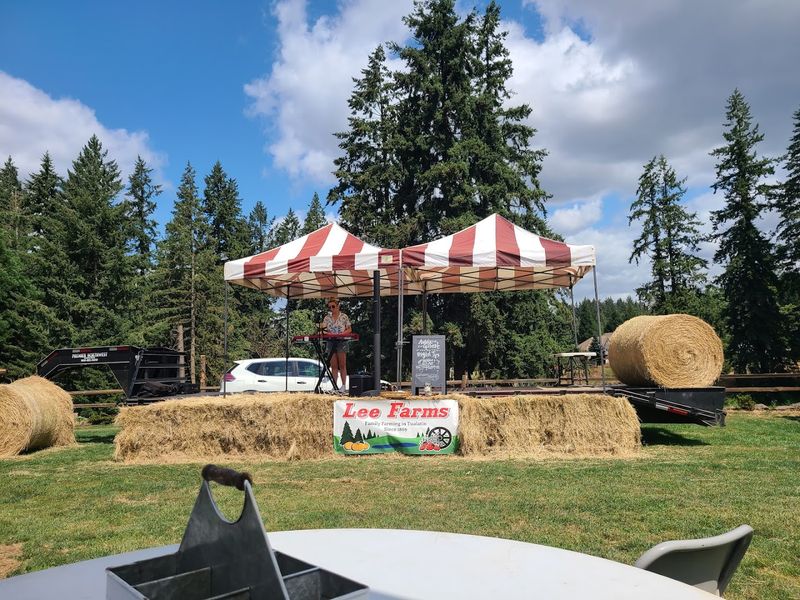 Live Music From Pacific Northwest Artists