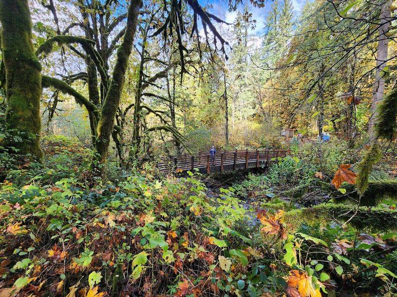 Wildlife and Plant Life: The Trail Has More Than Just Water