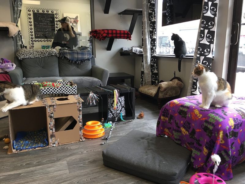 The Atmosphere Inside Feels Like a Home, Not a Business