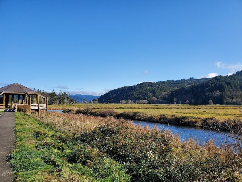 Facilities That Make Your Visit Comfortable