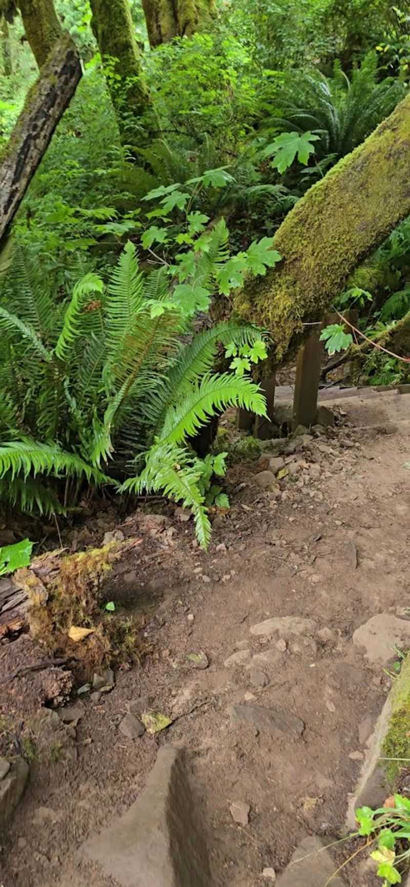 The Lower Trailhead: Starting Point and First Impressions