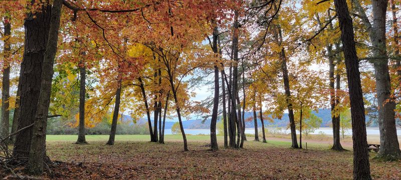 Seasonal Appeal: Why Every Season Brings Something New