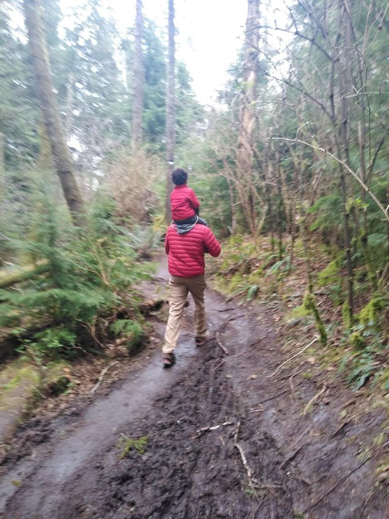 Trail Conditions: What to Expect in Every Season