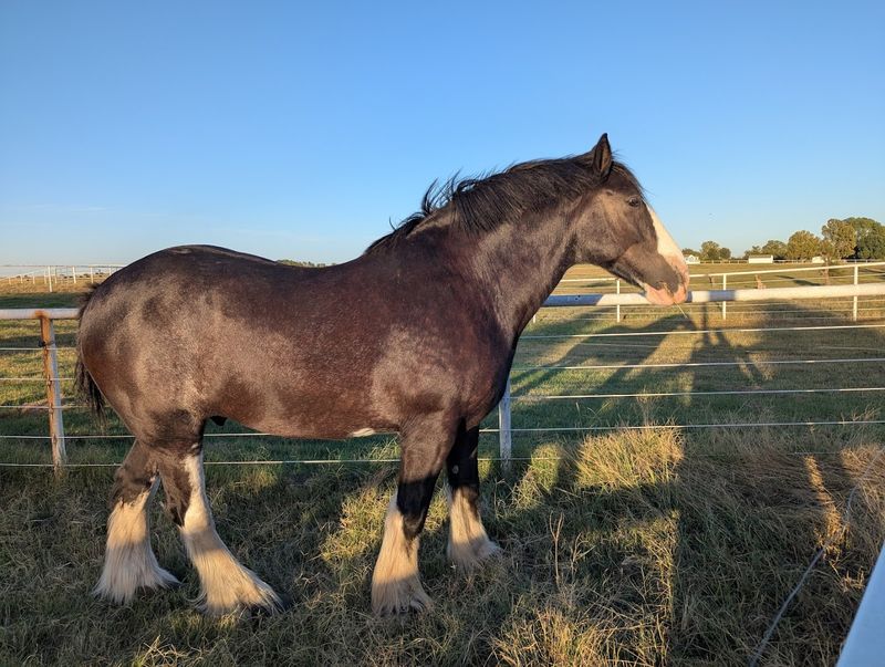 Why Families Keep Coming Back