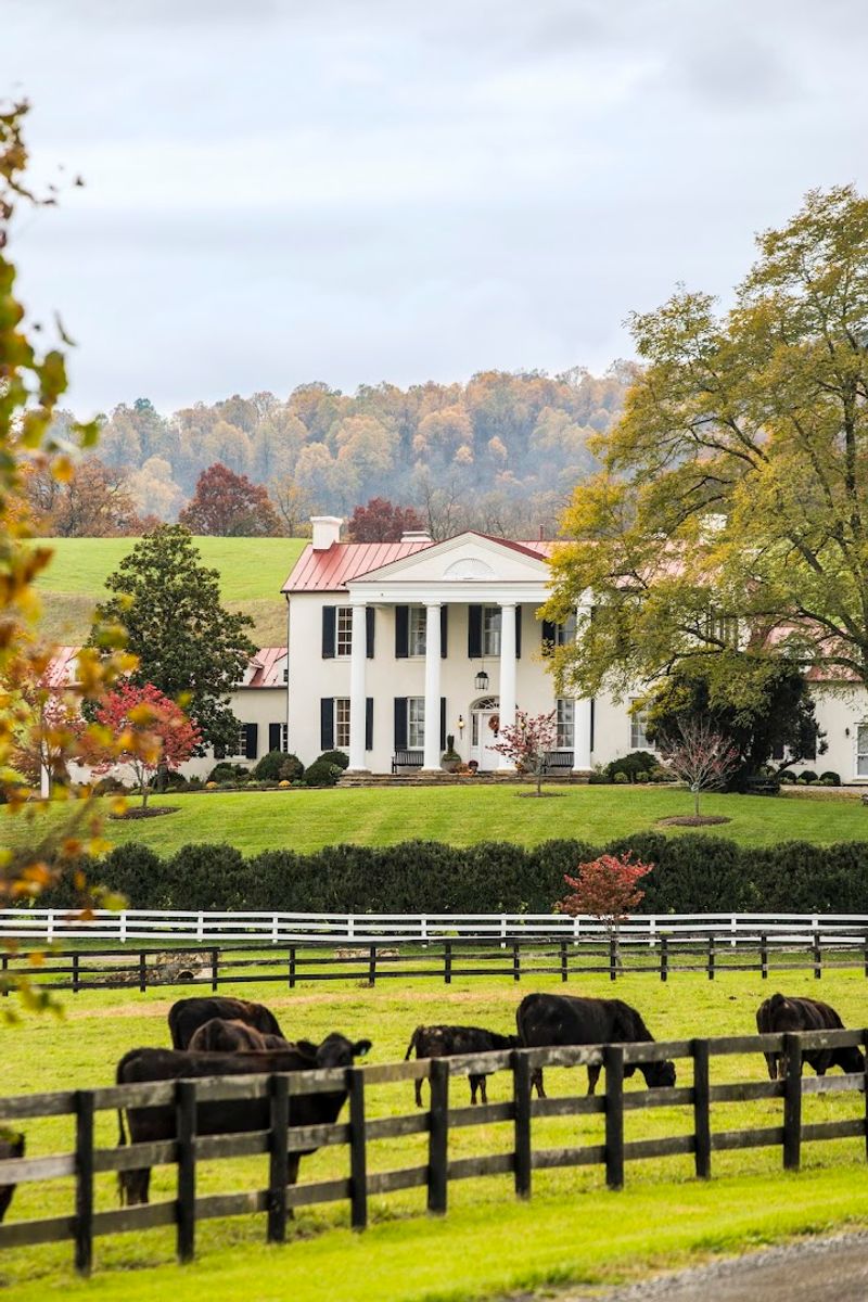 Why Ovoka Farm Belongs on Your Virginia Bucket List