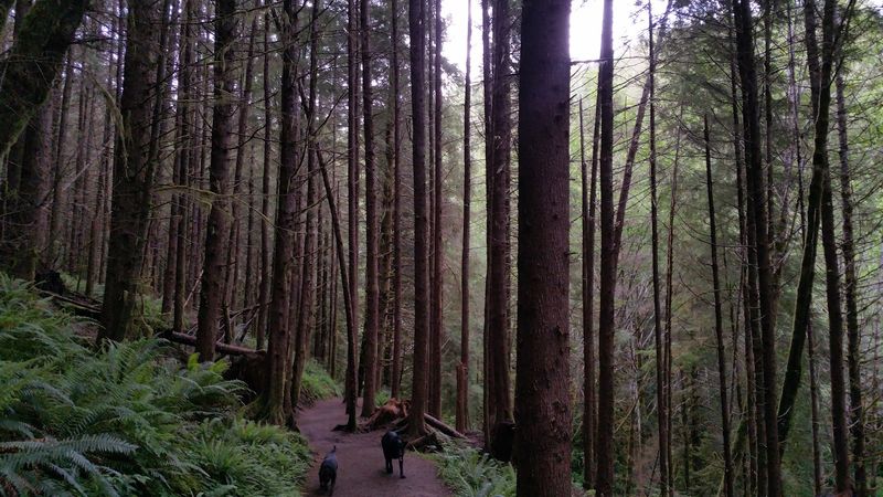 Trail Overview: What to Expect on the Ground