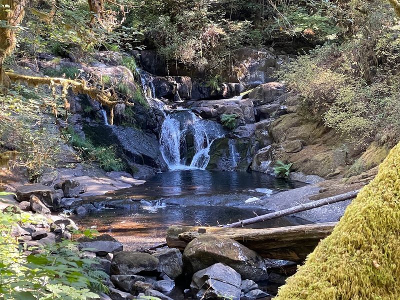 Wildlife and Safety Awareness on the Trail