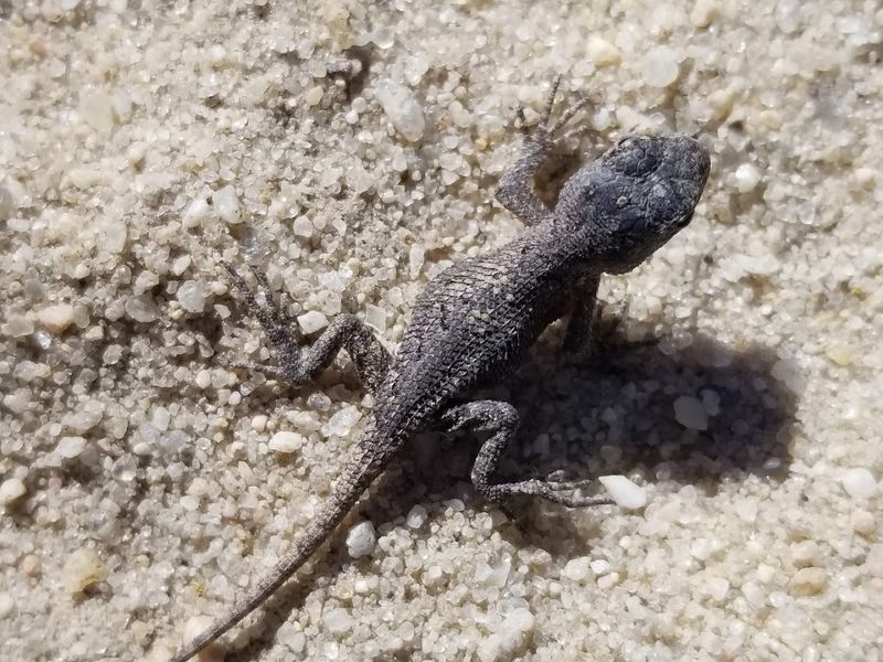 Wildlife Encounters That Are Actually Exciting