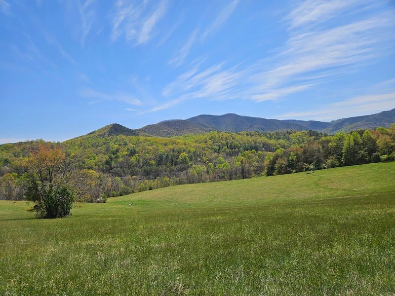 Spring in Salem: Why April Is the Absolute Best Time to Visit
