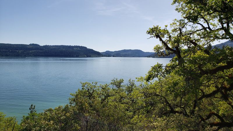 Try Fishing in Local Lakes and Rivers