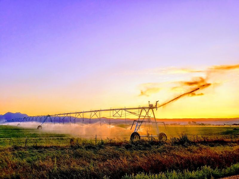 A Food Scene That Punches Above Its Weight