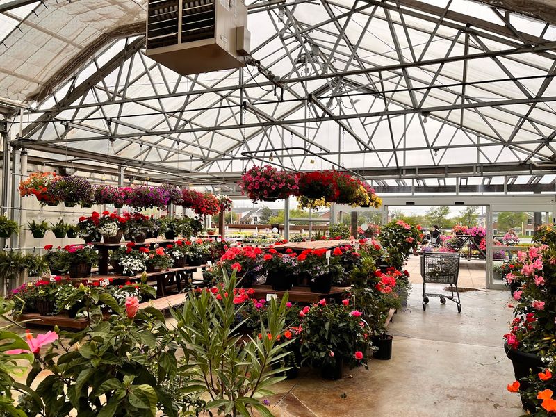 Indoor Plant Sections That Pull In The Houseplant Crowd